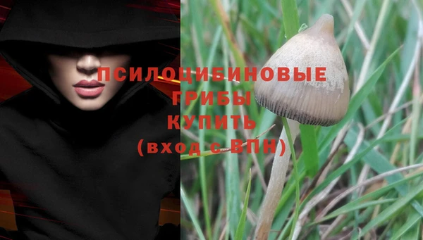 синтетический гашиш Балахна