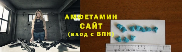сатива Осинники